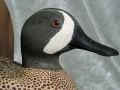 THeuerDuckEndsweb