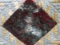Carrie-Reed-5web