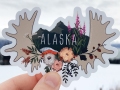 Antlerstickerweb