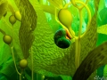 Kelp-Creatures-Iweb