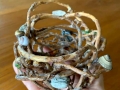 image14bweb