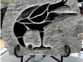 image1crowweb