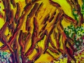 image3web
