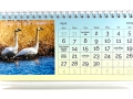 ThordarsonCalendarweb