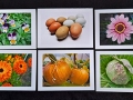 5x7PhotoGreetingCardsweb