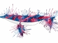 SpaceWhaleweb