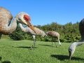 IMG_4887croppedweb