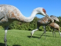 IMG_4902croppedweb