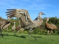 IMG_6014croppedweb